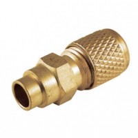 Вентиль (клапан) типа Шредер CPS AVB6