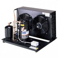 Copeland CBGE ZBD114+ZBD114-SB холодильный агрегат