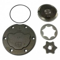 Масляний насос Bitzer 36250301