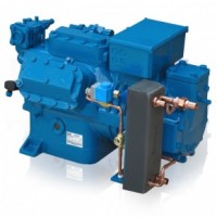 Frascold 2V10-42.29Y standard control компрессор для холодильного обладнання